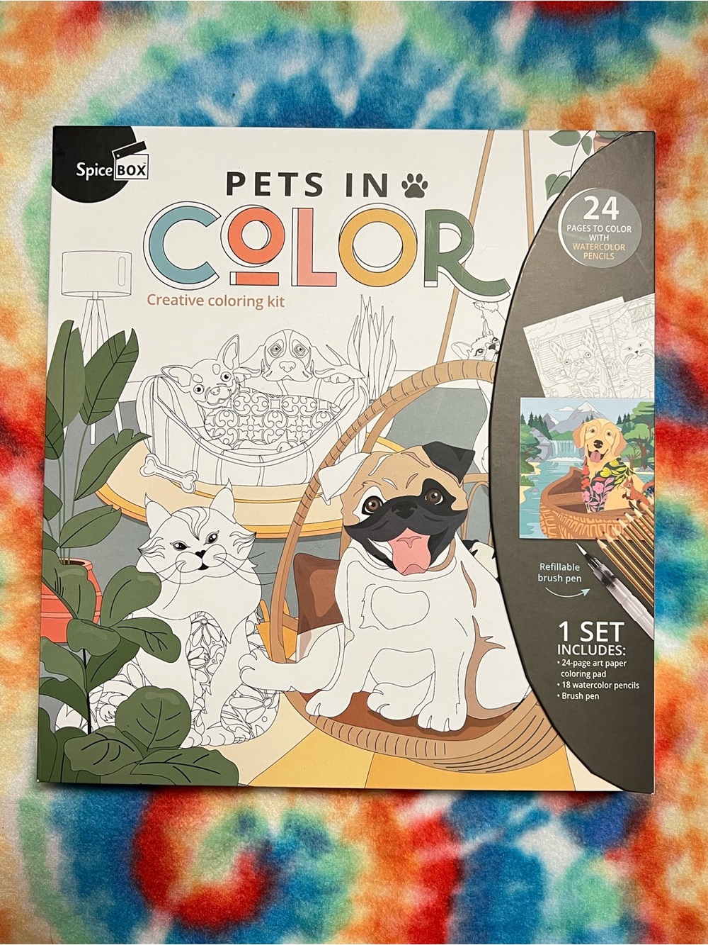 Pets in Color Creative Coloring Kit - Multicolor